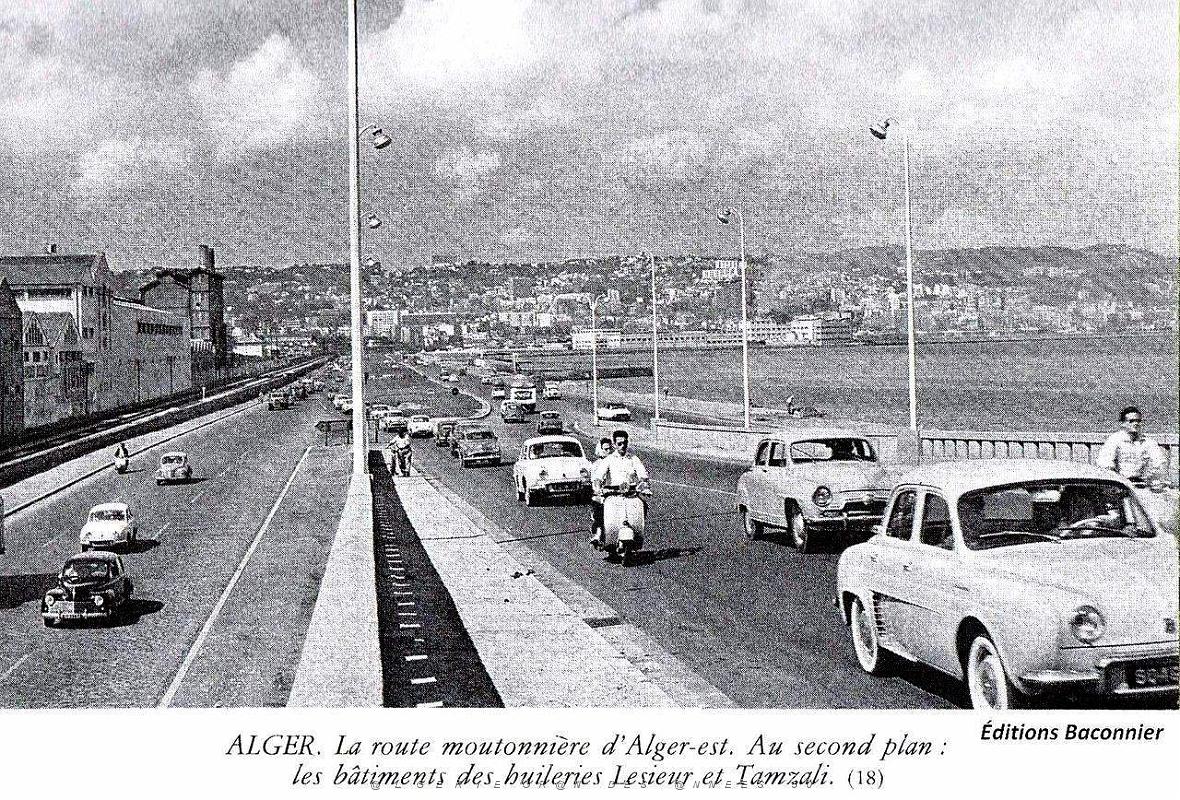 Alger - route moutonniere.jpg